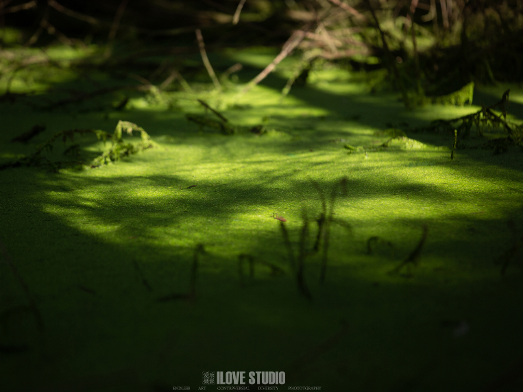 原创作品——《影》