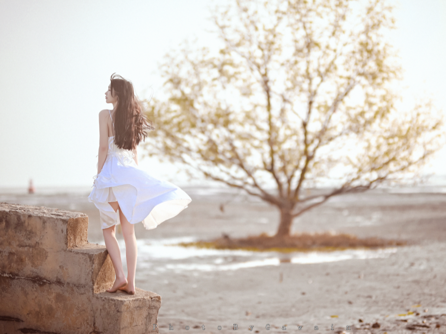 等风来，不如随风去