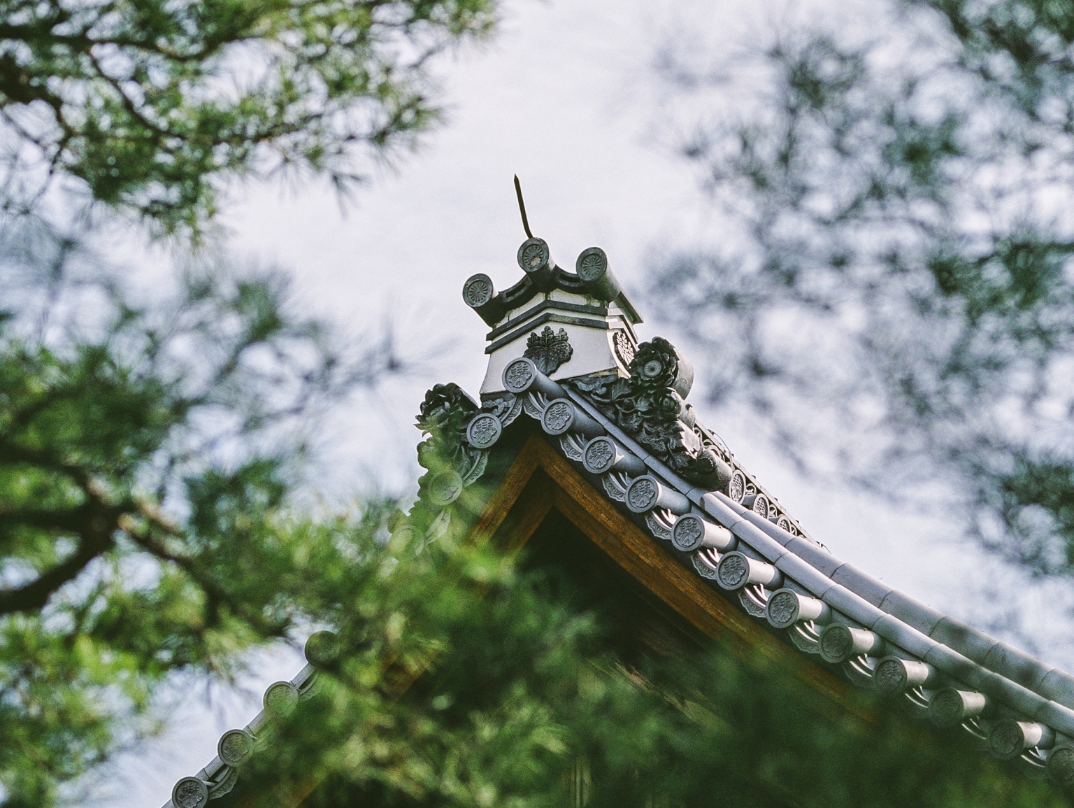 日本の行 Day one 