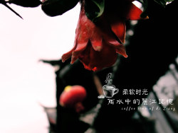 雨水中的丽江记忆