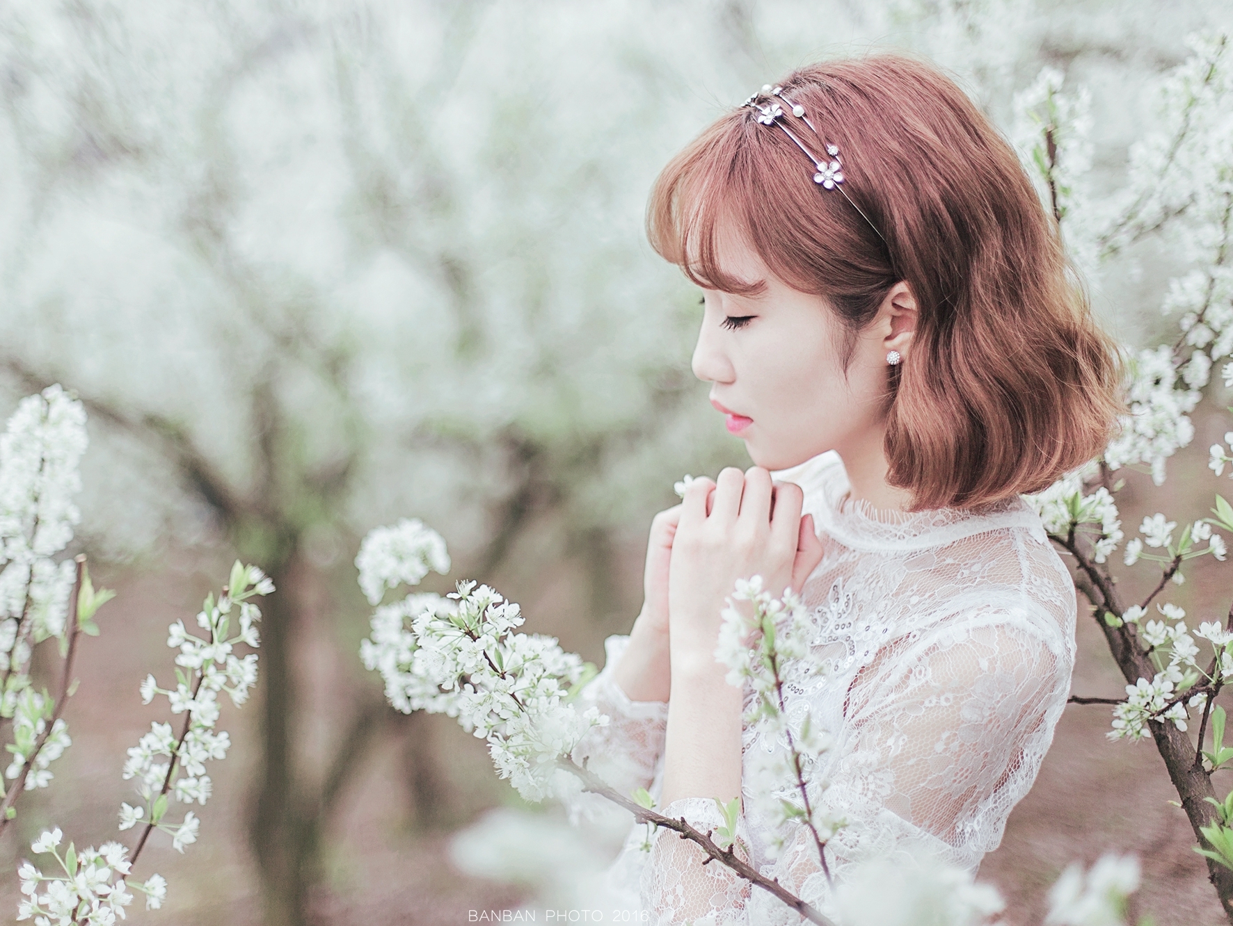 少女情怀总是诗