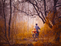 你在我的风景里