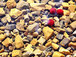 泸沽湖（照片里悲剧的写成了卢沟湖—.—）