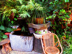 阳光灿烂的日子-唐人文化