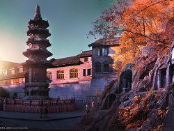 《别样南京公园》590篇