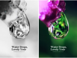 Forever&nbsp;Memories&nbsp;