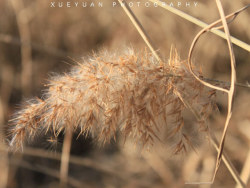 【你的清华。我的视角】