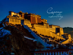 「末日藏行记风景篇」