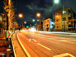 RoyWang作品 摄影之路四个月 