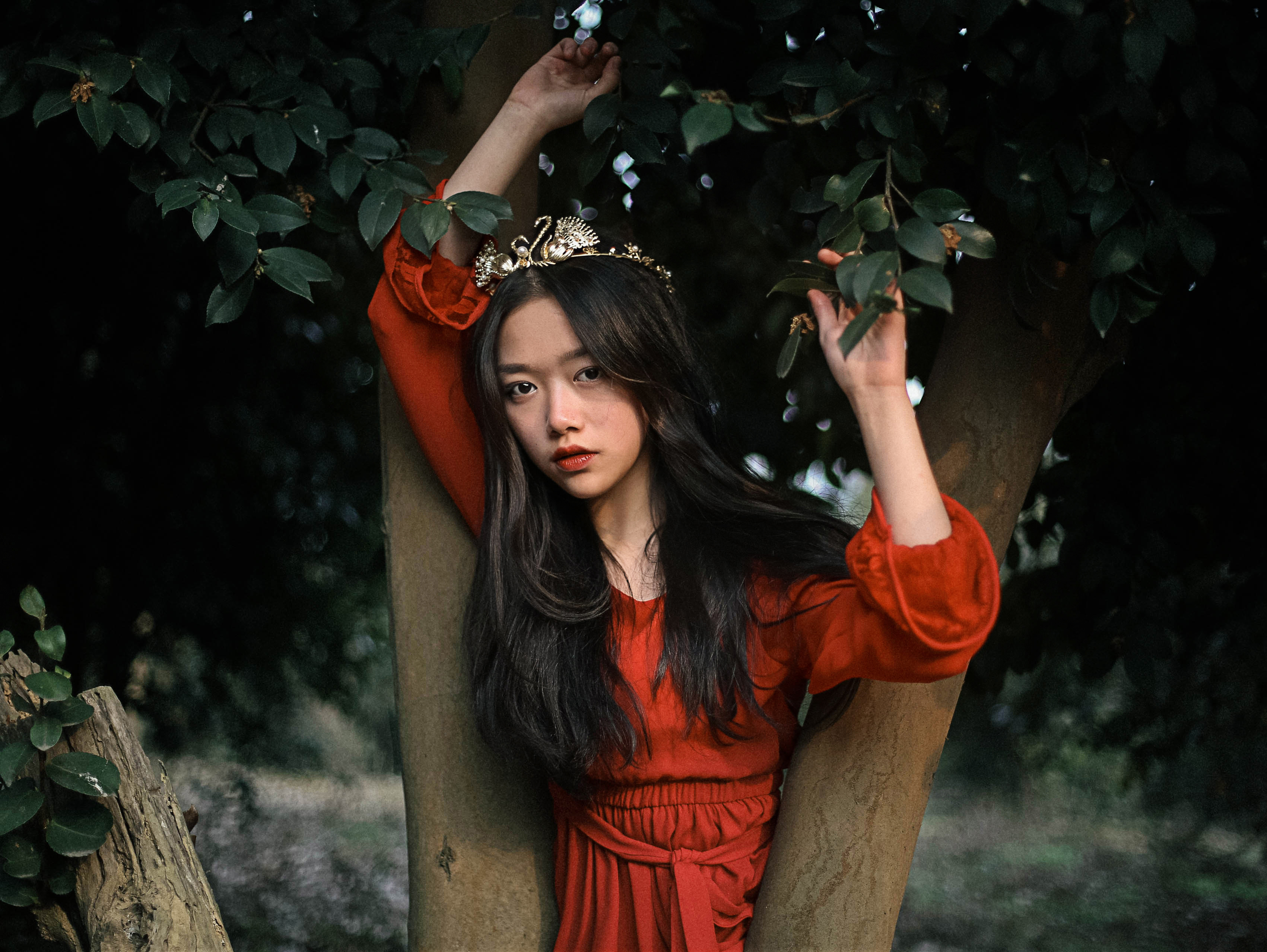 啼魄一天涯，雾血染烟霞