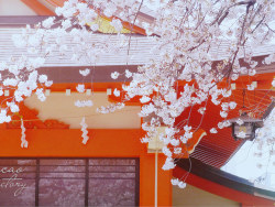 「2012 Japan Selected」