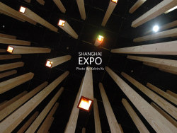 青年节游世博3-俄罗斯卢森堡非洲等