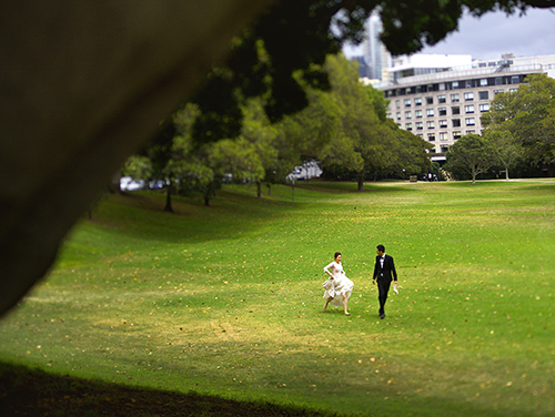 菲菲&超哥  |  卜马澳洲婚纱旅拍