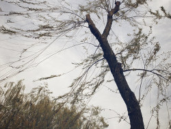 杭州——2010年冬天