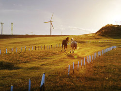 #出发的勇气#草原天堂—内蒙古