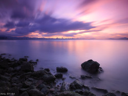 端午节深圳湾掠影