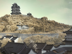 《八字山》590篇