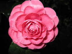 藏匿在大自然中的灵感