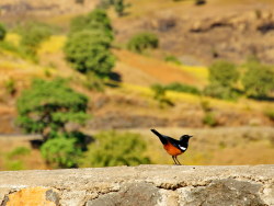 骑在埃塞-苏丹入境到贡德尔的沿途小景