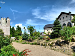 RoyWang作品 六甲山上