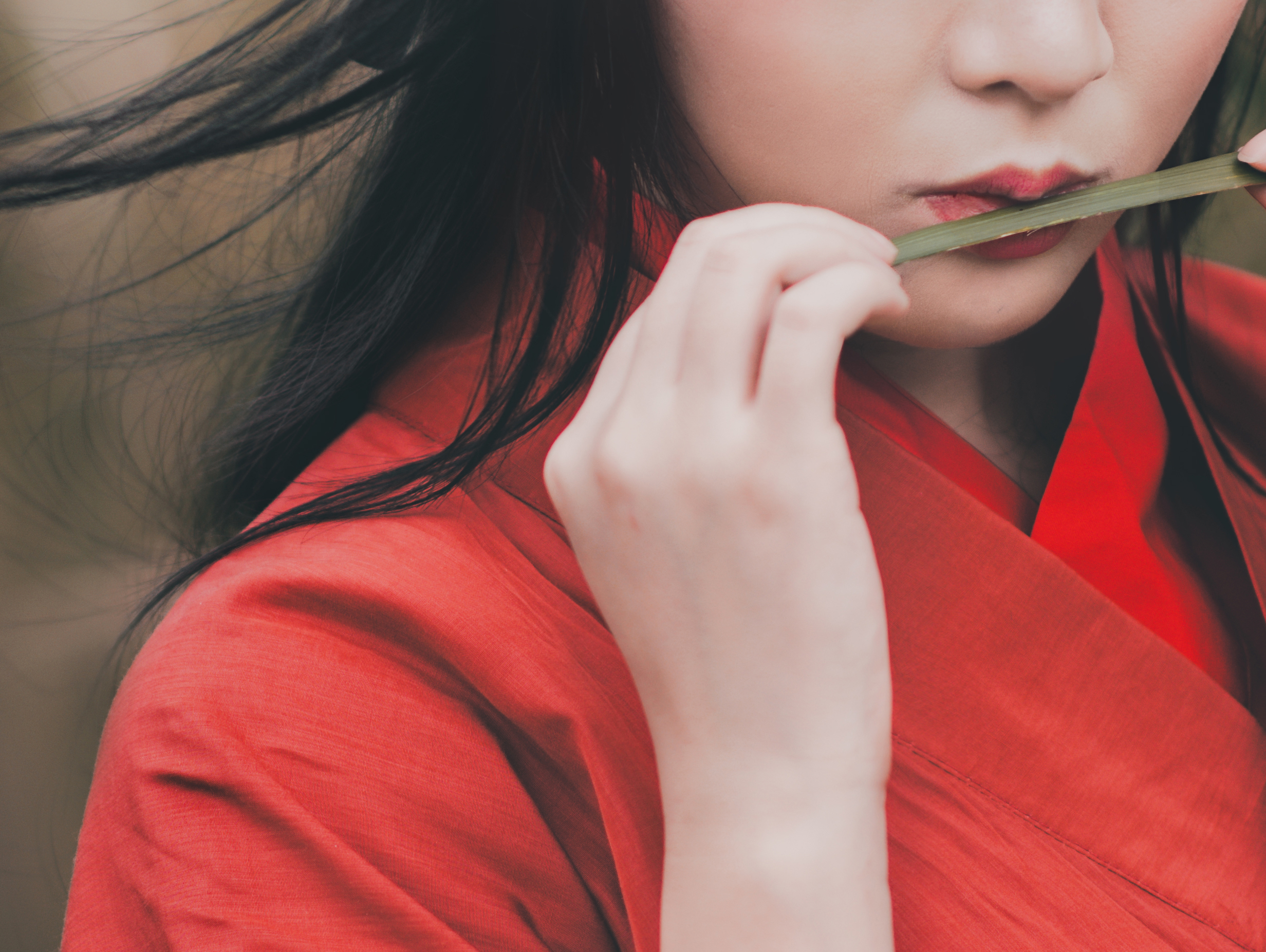 《邺风·燕燕》