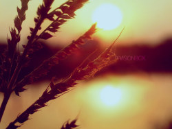 逃离城市 在稻香里 在星空下 感受幸福