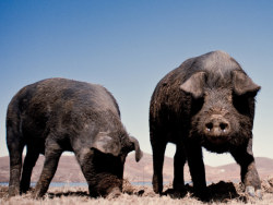昭通大山包的另一边~