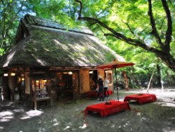 RoyWang作品 油画摄影