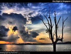 SING&amp;apos; NATURE 2