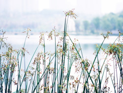 【间隙。】杂片几张