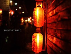 丽江的柔软时光 2010 MLZZ