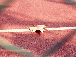 上海行——多伦路