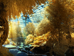 《植物园》590篇