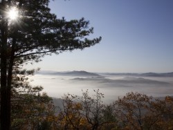 水墨江山——家乡秋意
