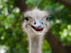 广州动物园一日游