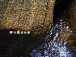 去年拍的一组小品