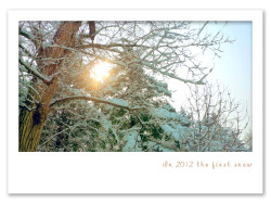 2012年的第一场雪