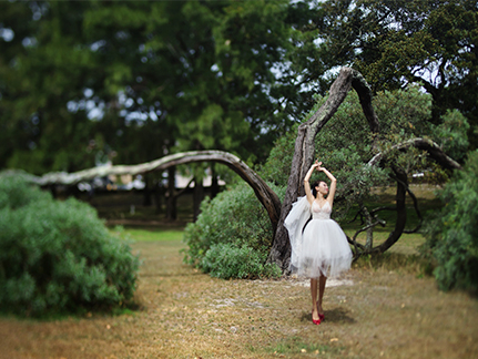 静贻&哲哲  |  卜马澳洲婚纱旅拍