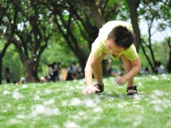 杂片－过去的日子