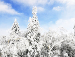 雪谷雪乡长白山魔界雾凇岛