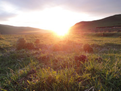 ｛坝上草原｝之卡片自拍