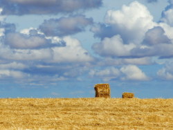骑在肯尼亚-肯尼亚山腰上农场的草垛