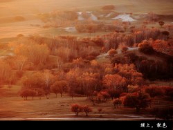 【塞罕坝】秋色，内蒙乌兰布统