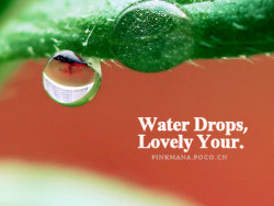 水珠先生の初恋&nbsp;