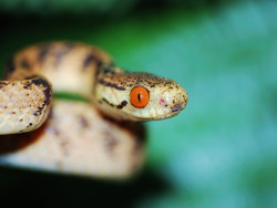 走在南岭的山路上