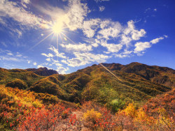 为自己的摄影（一）