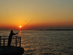 RoyWang作品 夕阳钓鱼人