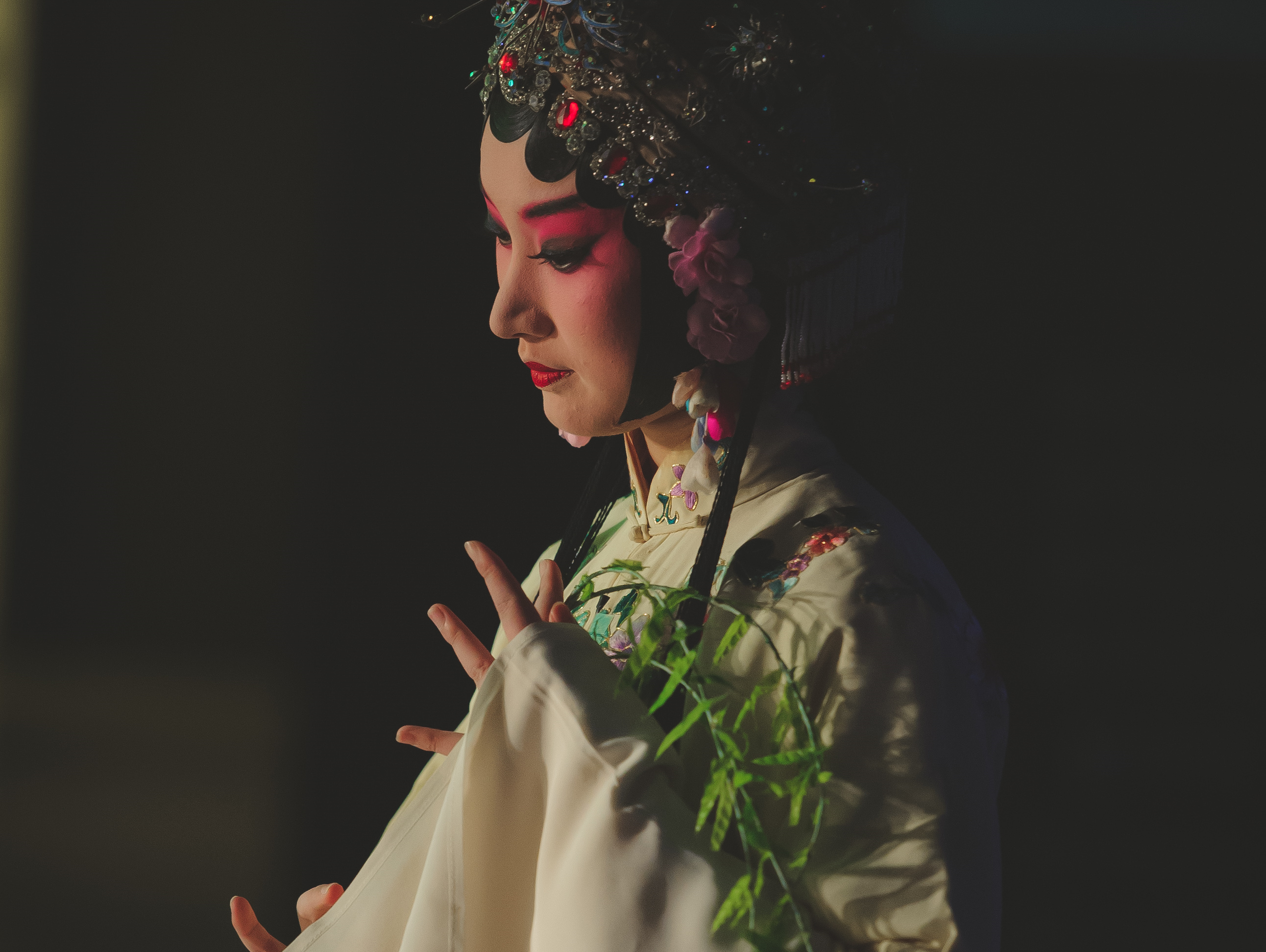 昆曲精华-临川四梦之《牡丹亭》