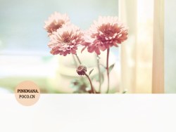 午后の日光を享受します