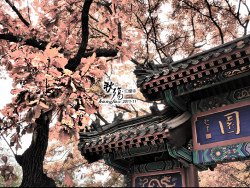 秋殇.红螺寺（二）